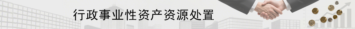 行政事业性资产项目